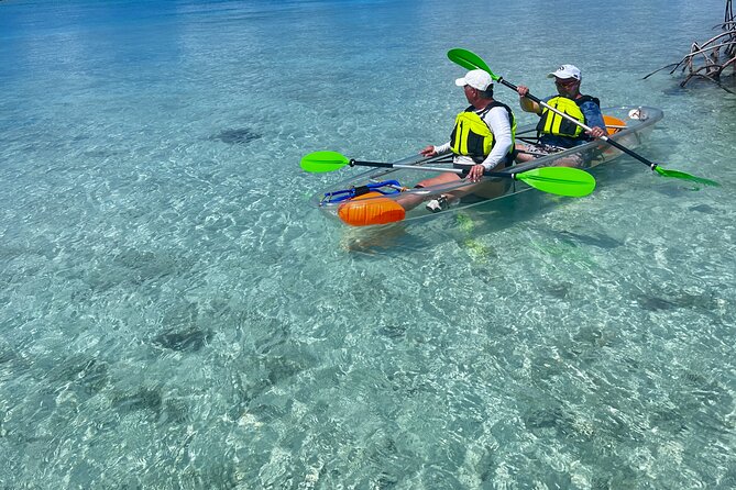 Clear Kayak Eco Tour Explore Mangroves and Meet the Turtles - Who should book this outing?