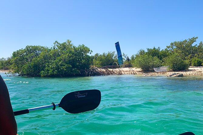 Clear kayak Grand Turk Island Kayak Tour of the mangroves - Price, timing, and who will enjoy it most