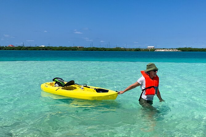 Clear kayak Grand Turk Island Kayak Tour of the mangroves - Mangroves, nesting birds, and the creek’s quiet details
