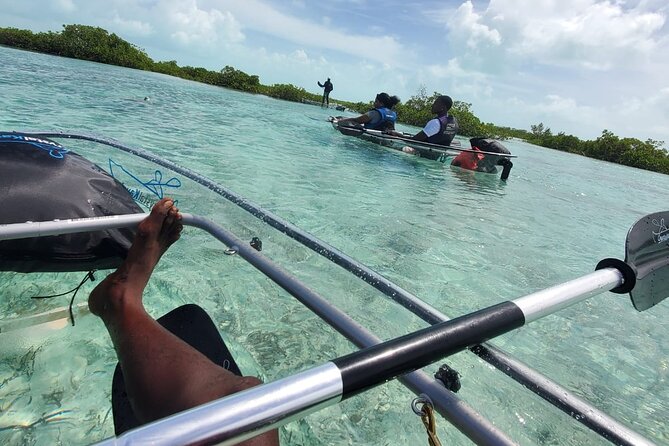 Clear Kayak Mangrove Eco Tour - A clear view of the mangrove world