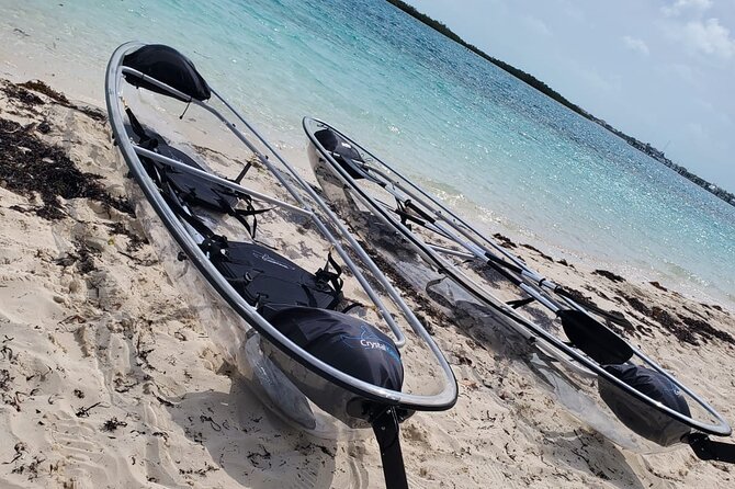 Clear Kayak Mangrove Eco Tour - Is $240 good value for two people?