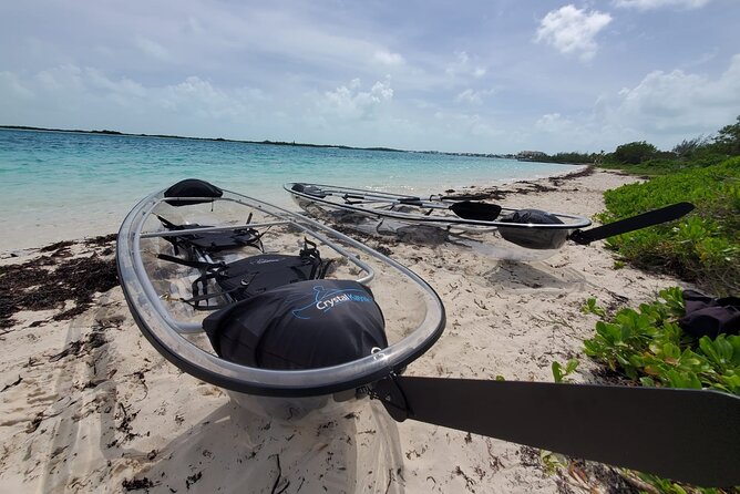 Clear Kayak Mangrove Eco Tour - Timing, pickup, and the two-hour schedule