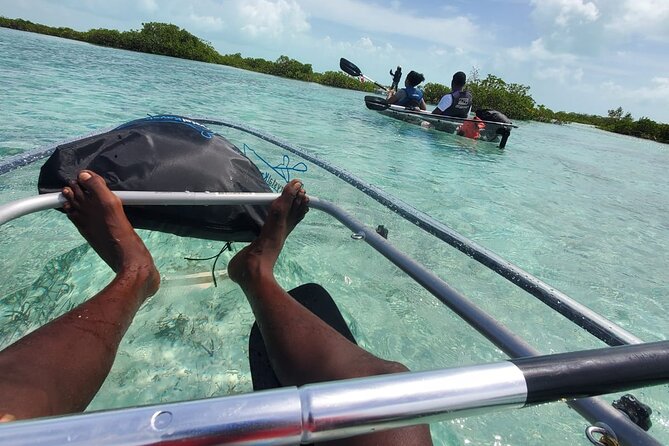 Clear Kayak Mangrove Eco Tour - Who will enjoy this most?