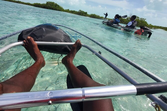 Clear Kayak Mangrove Eco Tour - What to confirm before you go