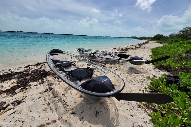 Clear Kayak Mangrove Eco Tour - What you can expect around Half Moon Bay