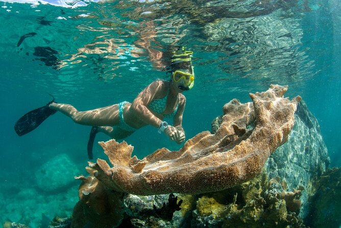 Deluxe Half-Day Snorkel Sail on Lady Grace Luxury Catamaran - The crew and the feeling of the trip