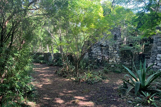 Discovery Tour and Treasure Hunt ( North and Middle Caicos) - Conch Bar Caves: fascinating, dark, and physically demanding
