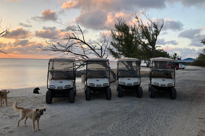 Drive GDT - Golf Cart Rentals - Price, Fuel, and Overall Value