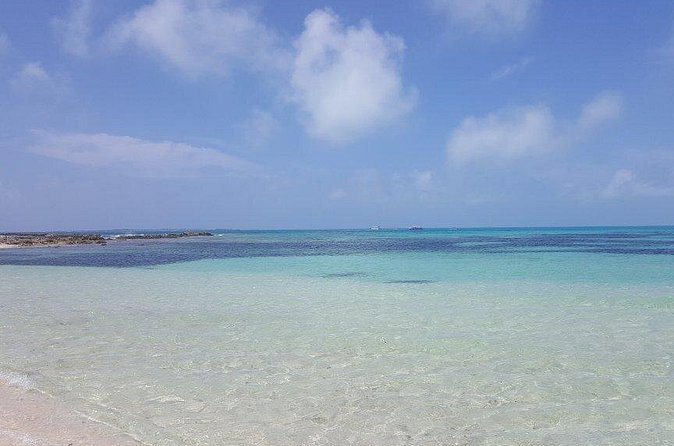 Exclusive Supreme Snorkeling Tour - Cruise Passengers Need a Clear Plan