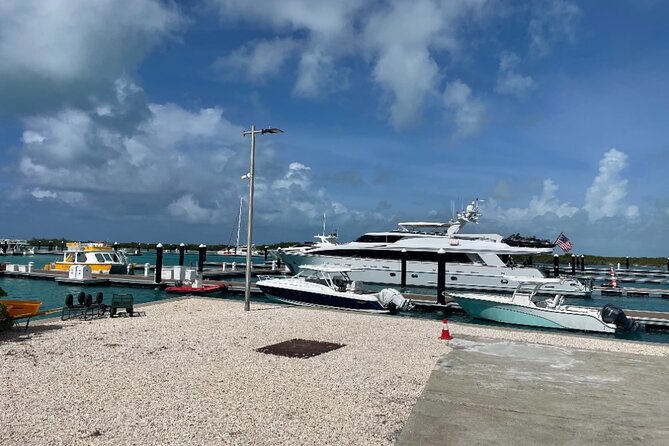 Famous East Island UTV Tour - Starting at Turtle Cove Marina and Bight Beach