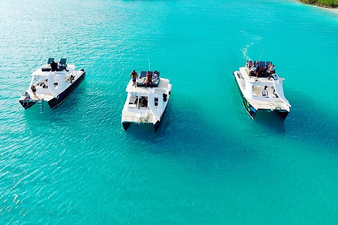 Full Day Beach BBQ Lunch & Snorkeling Excursion in Grace Bay - Is the $250 price fair?