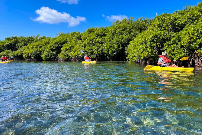 Full Day Clear Kayak Rental Grand Turk - What the Grand Turk kayak rental really offers