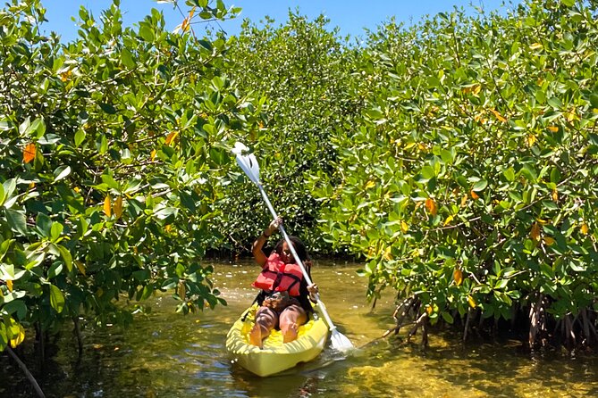 Full Day Clear Kayak Rental Grand Turk - Mangroves require a closer look at the booking