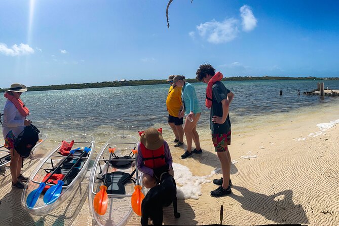 Full Day Clear Kayak Rental Grand Turk - Wildlife and the value of a clear hull