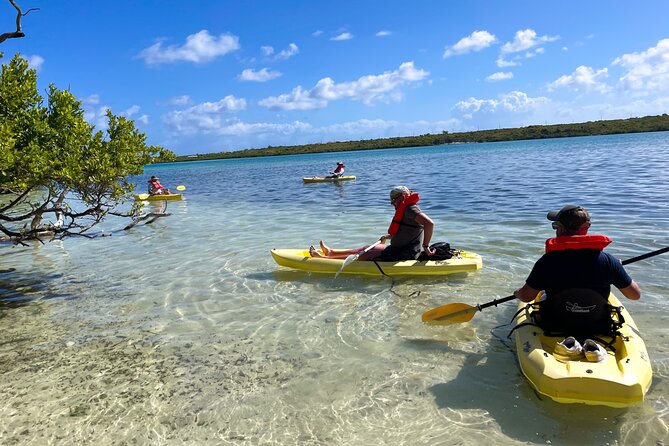 Full Day Clear Kayak Rental Grand Turk - Timing, weather, and practical planning