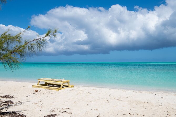 Full Day Cruise from Providenciales with Snorkeling and BBQ Lunch - Why this is more than a standard snorkeling trip