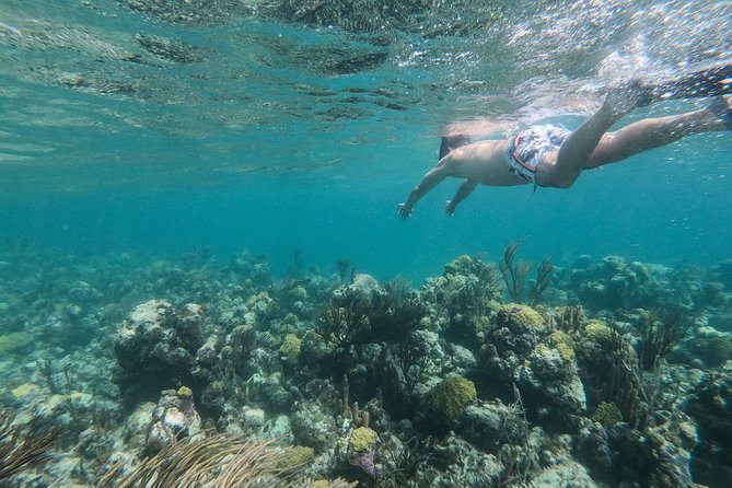 Full Day Cruise from Providenciales with Snorkeling and BBQ Lunch - Ft George Cay turns lunch into a beach stop