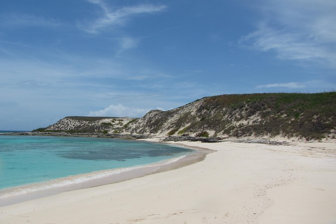 Gibbs Cay Stingray and Conch Dive Adventure - Key points to know before you book