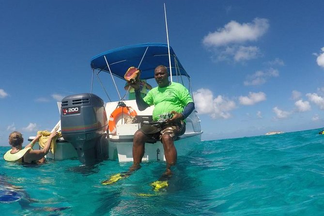Gibbs Cay Stingray and Conch Dive Adventure - Snorkeling adds more than a quick extra stop