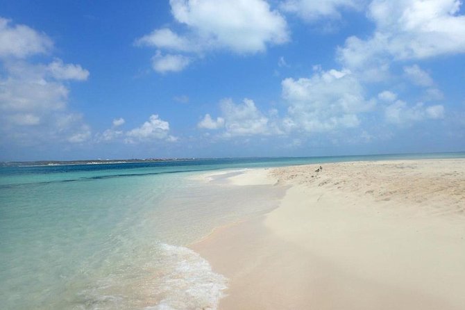 Gibbs Cay Stingray and Conch Dive Adventure - Price, inclusions, and what you get for $103