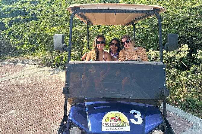 Grand Turk Golf Cart Rentals (CACTUS CARTS) - Who should book Cactus Carts?