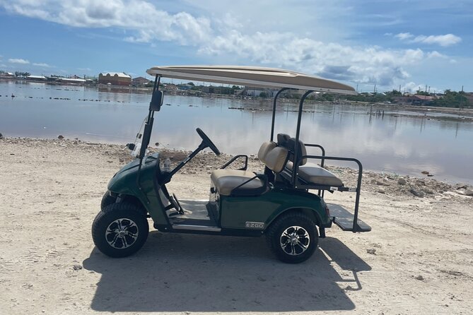 Grand Turk Golf Cart Rentals (CACTUS CARTS) - Finding Cactus Carts outside the cruise port