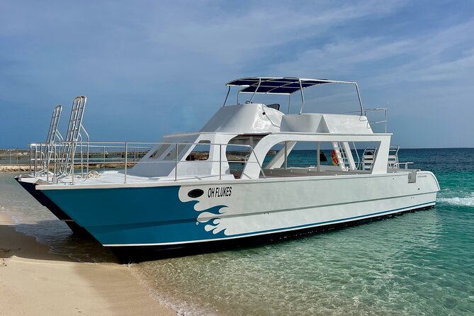 Grand Turk: Whale Watching - What the marine biologist adds