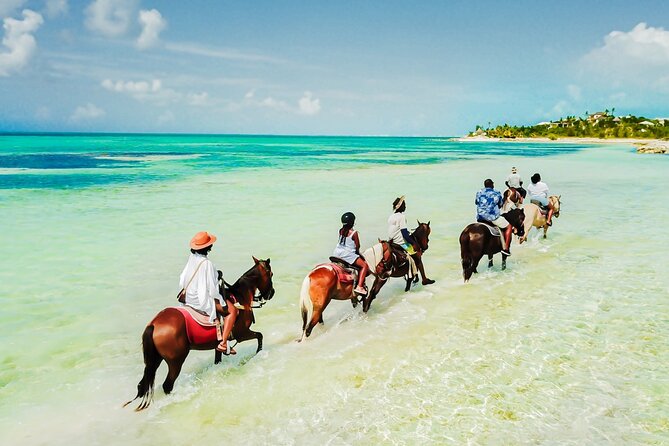 Group Beach and Ocean Horseback Adventure in Providenciales - Key Points Before You Book