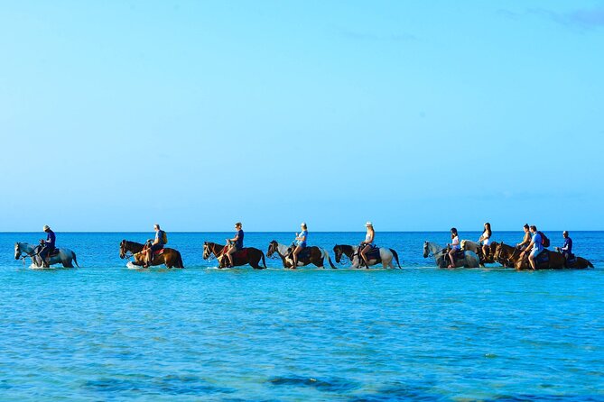 Group Beach and Ocean Horseback Adventure in Providenciales - Riding From Providenciales Beach Into the Sea
