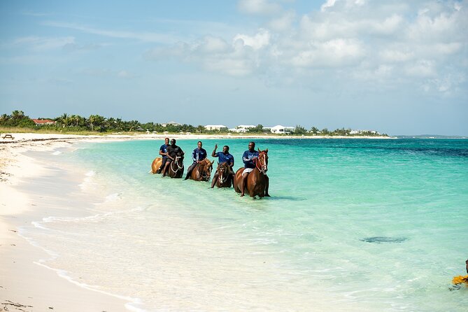 Group Beach and Ocean Horseback Adventure in Providenciales - What It Feels Like to Ride Through the Surf