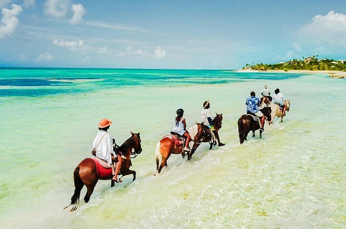 Group Beach and Ocean Horseback Adventure in Providenciales - Guides, Safety, and the Group Size