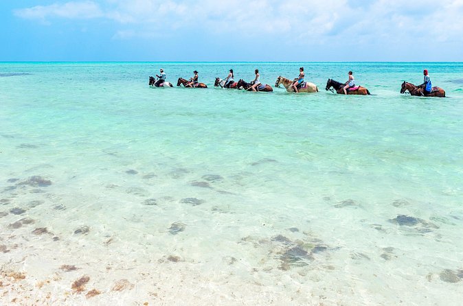 Group Beach and Ocean Horseback Adventure in Providenciales - What the $254 Price Really Covers