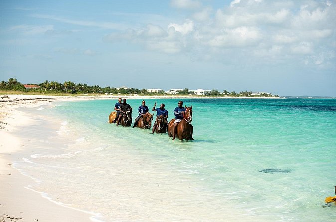 Group Beach and Ocean Horseback Adventure in Providenciales - Who Will Enjoy This Most