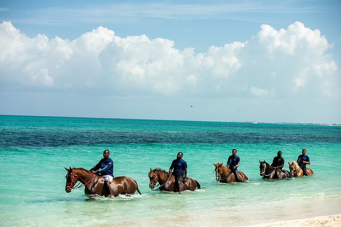 Group Beach and Ocean Horseback Adventure in Providenciales - Timing, Pickup, and What to Bring