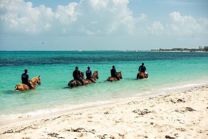 Group Beach and Ocean Horseback Adventure in Providenciales - The Beach Ride Before the Water