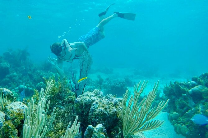 Group Reef, Beach and Sandbar Tour from Providenciales - What $145.84 buys you