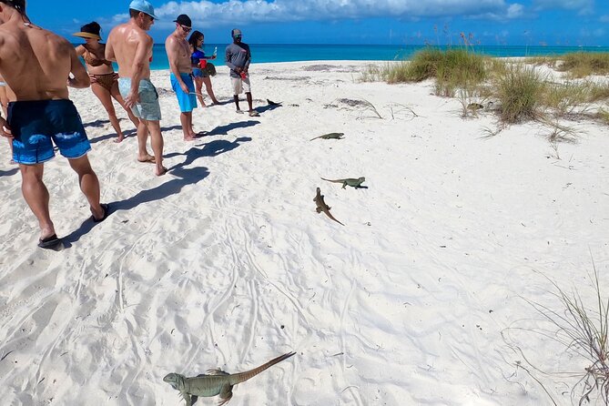 Group Reef, Beach and Sandbar Tour from Providenciales - Pickup details and who will feel comfortable