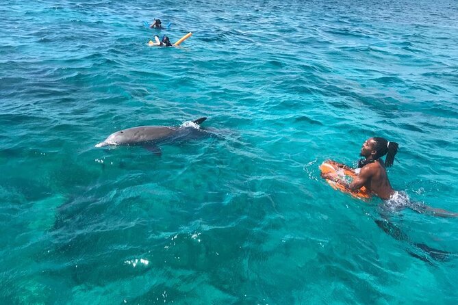 Group Reef, Beach and Sandbar Tour from Providenciales - How it compares with a simple beach day