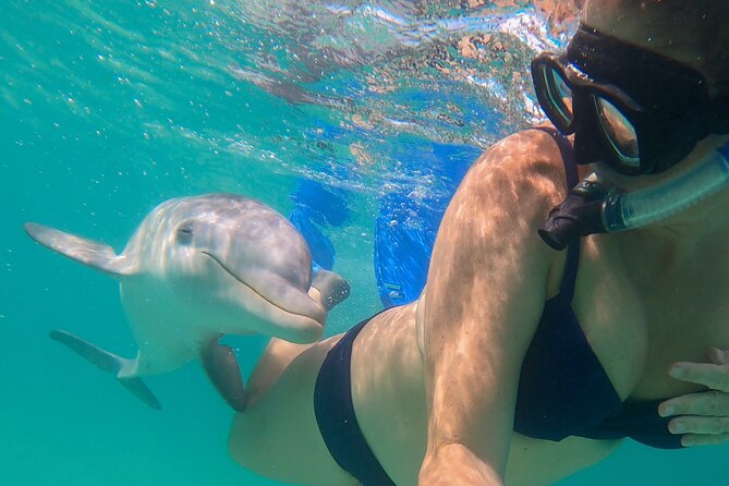 Group Reef, Beach and Sandbar Tour from Providenciales - Small details that improve the day