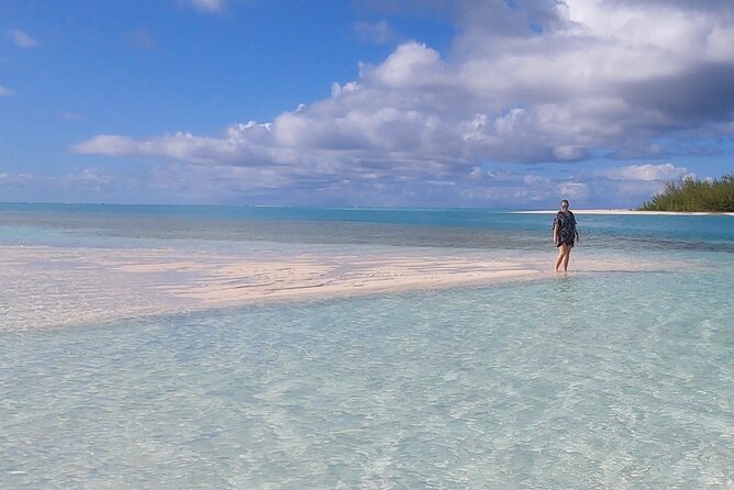 Group Reef, Beach and Sandbar Tour from Providenciales - Half Moon Bay and the unusual rock iguanas