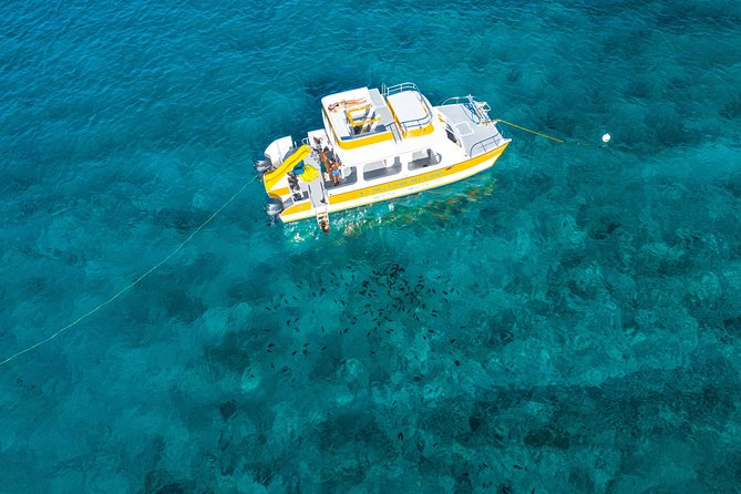 Half Day Private Boat Charter at Grace Bay, Providenciales - Lunch, conch, and the open bar