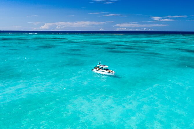Half Day Private Luxury Axopar Charter in Turks & Caicos - Little Water Cay and its famous rock iguanas