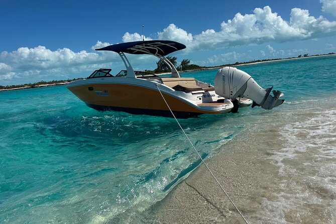 Half Day Private Sun and Snorkel exploring the Turks and Caicos - Snorkeling the reefs around Providenciales