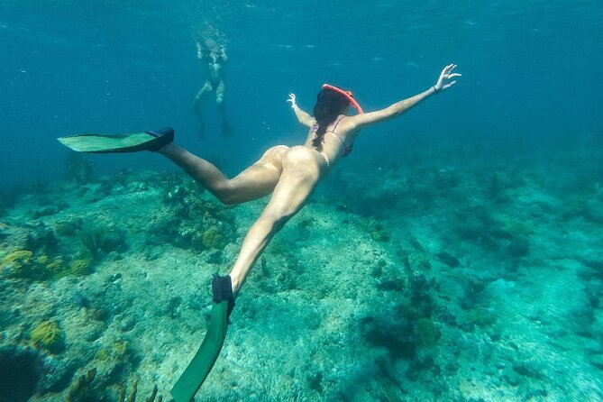 Half Day Snorkel from Providenciales with Visit to Half Moon Bay - From Grace Bay to the eastern end of Providenciales