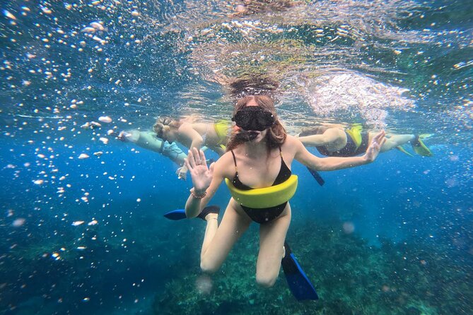 Half Day Snorkel from Providenciales with Visit to Half Moon Bay - The boat slide and a relaxed return cruise