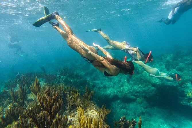 Half Day Snorkel from Providenciales with Visit to Half Moon Bay - Practical details that affect your day