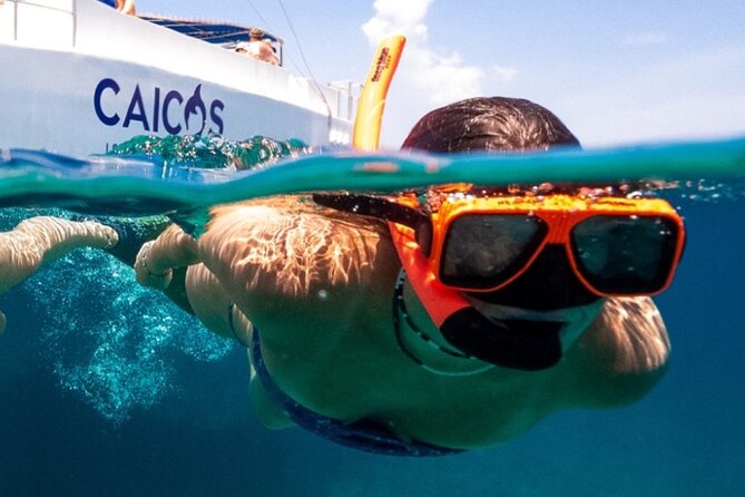 Half Day Snorkel from Providenciales with Visit to Half Moon Bay - Half Moon Bay, Little Water Cay, and Rock Iguanas