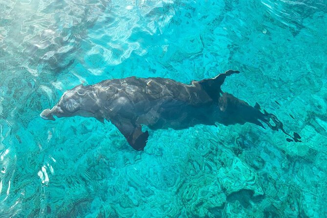 Half Day Snorkeling, Sightseeing & Island Hopping Private Charter (Afternoon) - Grace Bay Beach from the boat