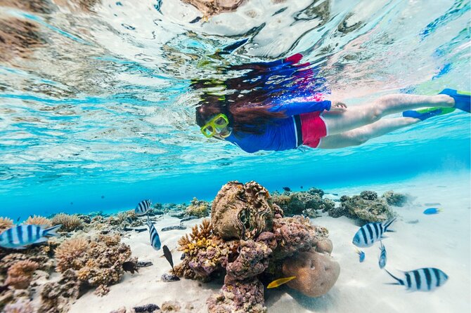 Half Moon Bay Jet Ski Tour & Snorkeling the La Famille Shipwreck - The ride back through Leeward Passage