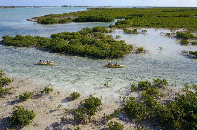 Kayak Eco Tour - Finishing with a beach swim